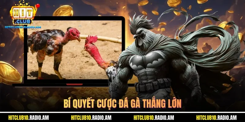 bi-quyet-cuoc-da-ga-thang-lon